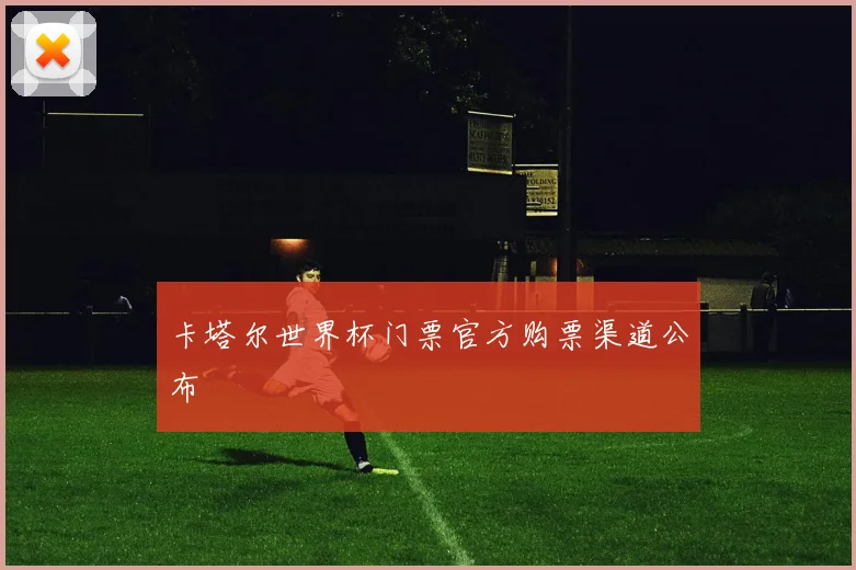 卡塔尔世界杯门票官方购票渠道公布