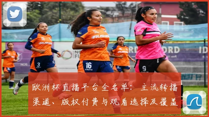 欧洲杯直播平台全名单：主流转播渠道、版权付费与观看选择及覆盖地区