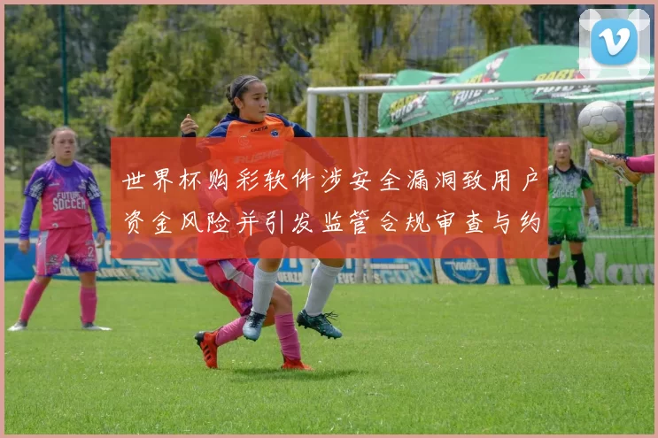 世界杯购彩软件涉安全漏洞致用户资金风险并引发监管合规审查与约谈