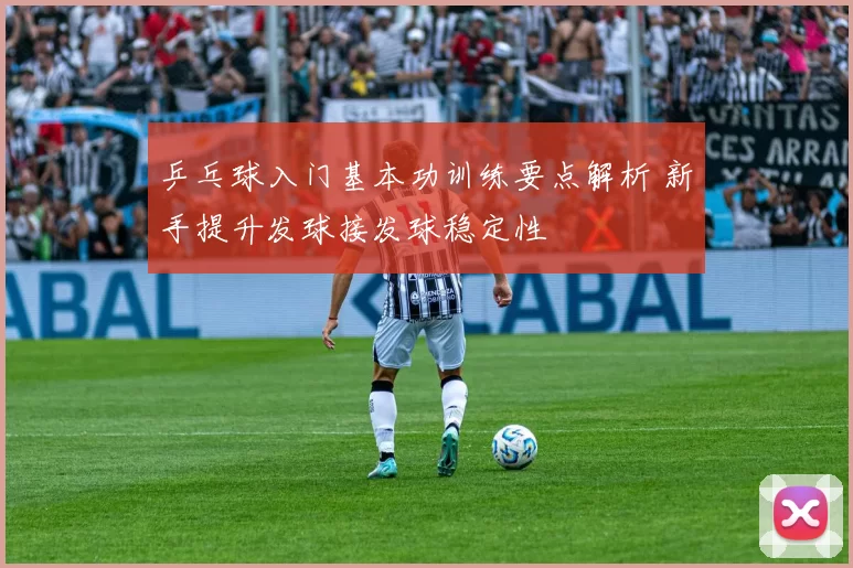 乒乓球入门基本功训练要点解析 新手提升发球接发球稳定性