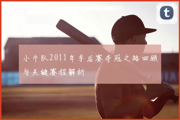 小牛队2011年季后赛夺冠之路回顾与关键赛程解析