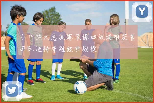 小牛热火总决赛录像回放诺维茨基率队逆转夺冠经典战役