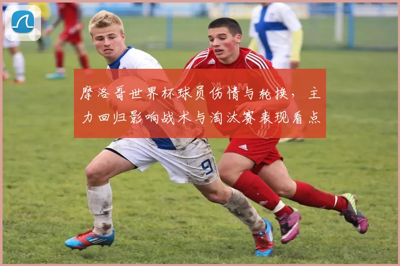 摩洛哥世界杯球员伤情与轮换,主力回归影响战术与淘汰赛表现看点