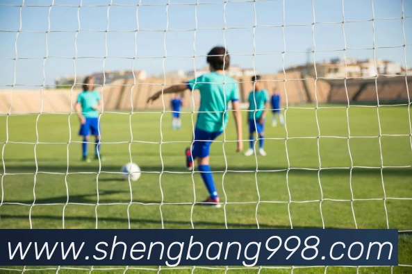 奇异果app官网入口(中国)有限公司 - 官网平台生态图