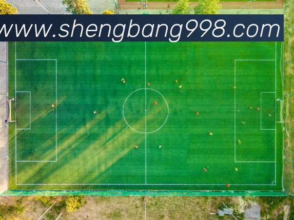 数据防护可视化